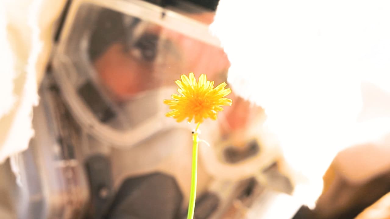 Bajo el Sol