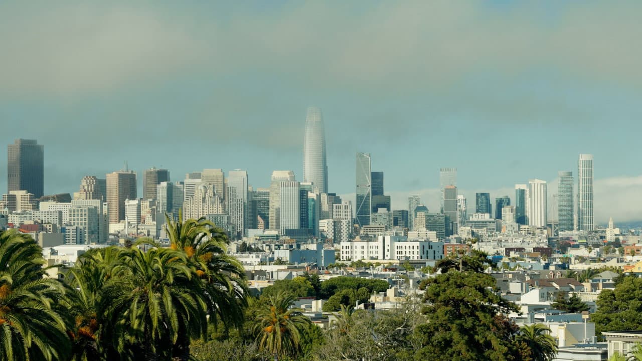 The City