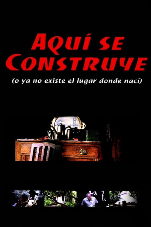 Under Construction (Or The Place Where I Was Born No Longer Exists)