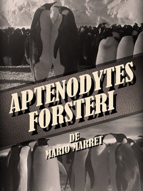 Aptenodytes Forsteri