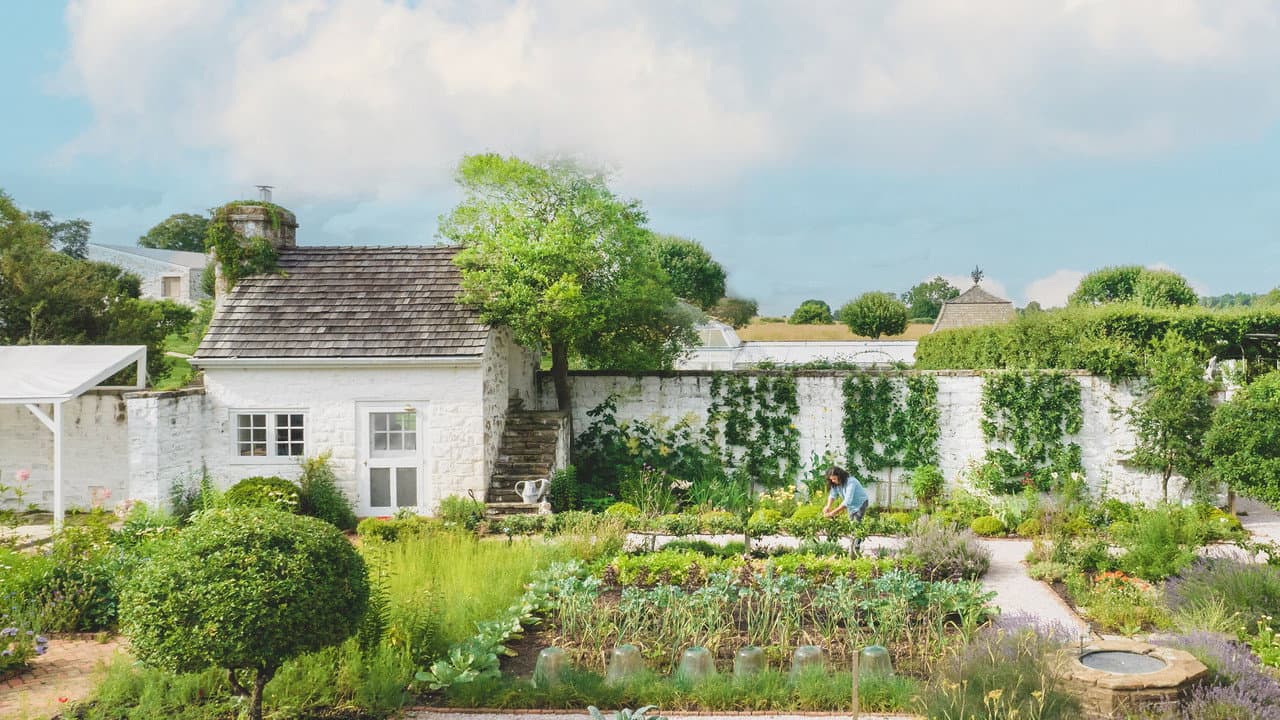 The Garden Chronicles